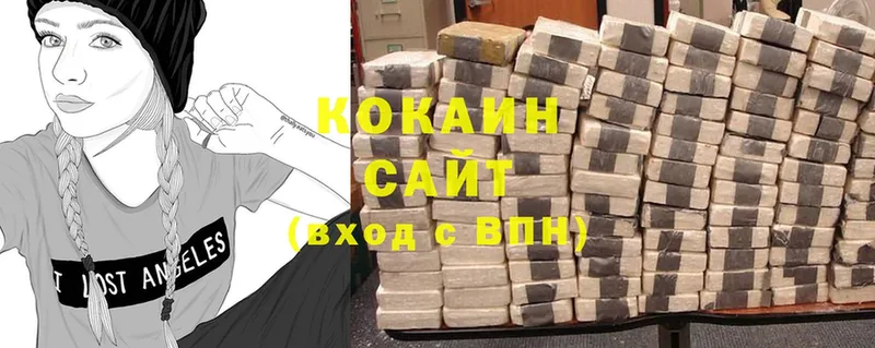 COCAIN FishScale  купить закладку  Новая Ляля 