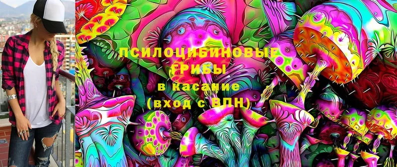 Псилоцибиновые грибы Cubensis  Новая Ляля 