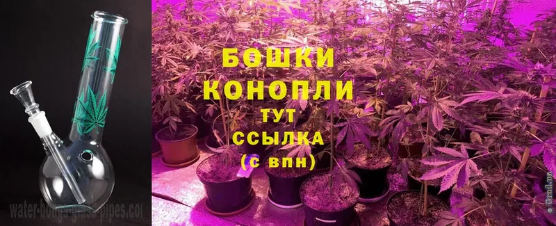 mega ONION  сколько стоит  Новая Ляля  Бошки марихуана SATIVA & INDICA 